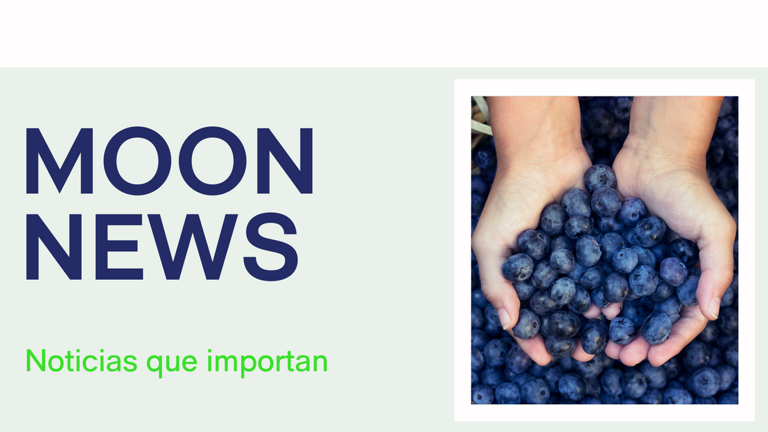 ¿Por qué debes apostar por los refrescos ecológicos?